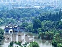 皇冠足球比分即时比分-解锁足球激情，皇冠足球比分即时比分——球迷的实时观赛指南