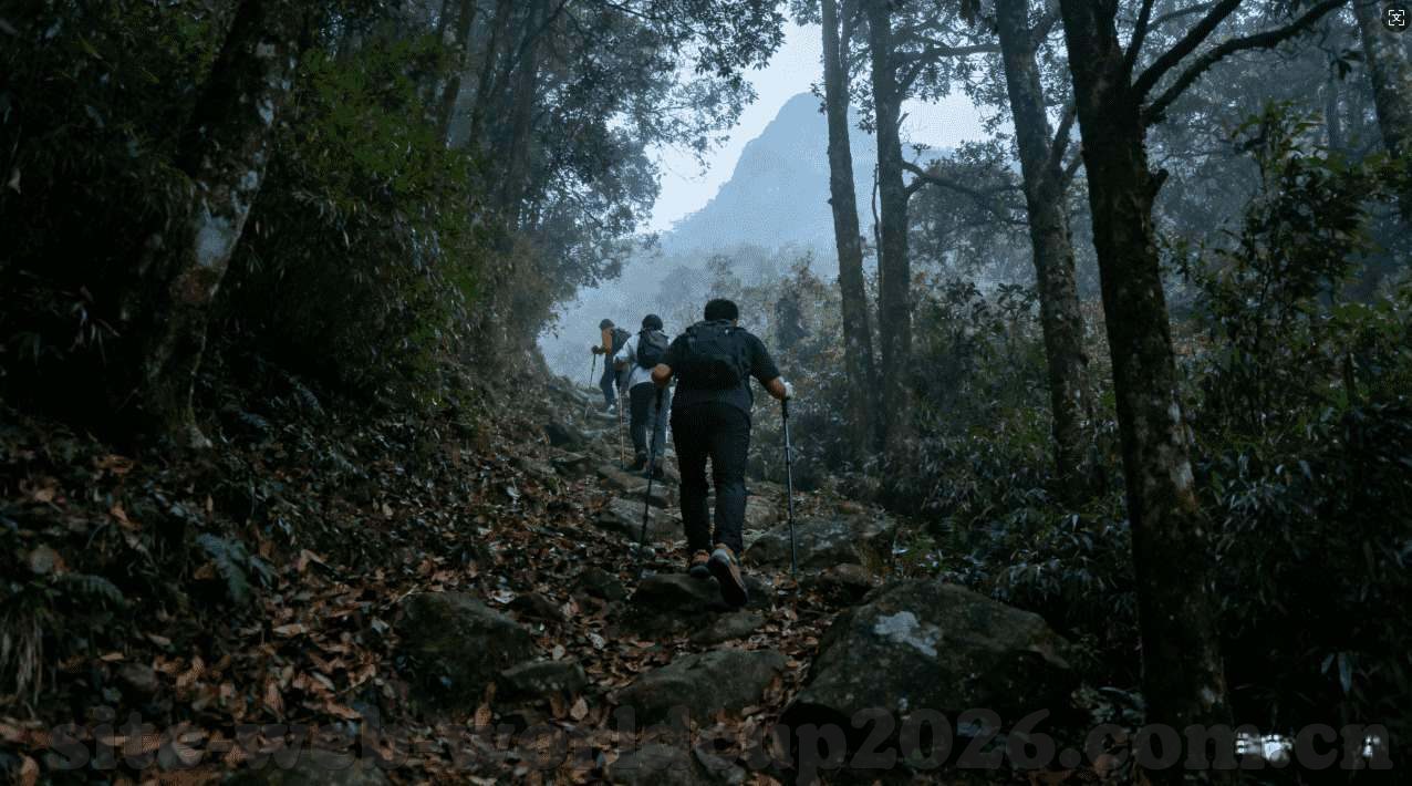 世界杯体彩赚钱吗-世界杯体彩，梦想与现实的碰撞